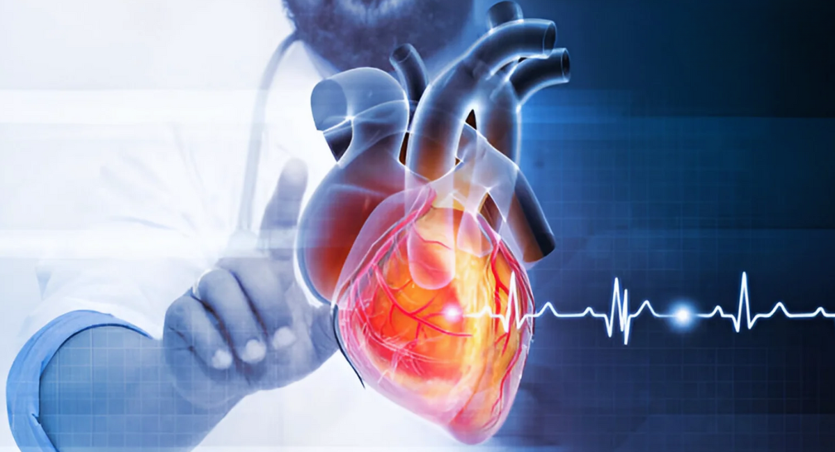 Heart Diseases: Causes, Dangers, Symptoms, Treatment, and the Best Lifestyle to Protect Your Heart