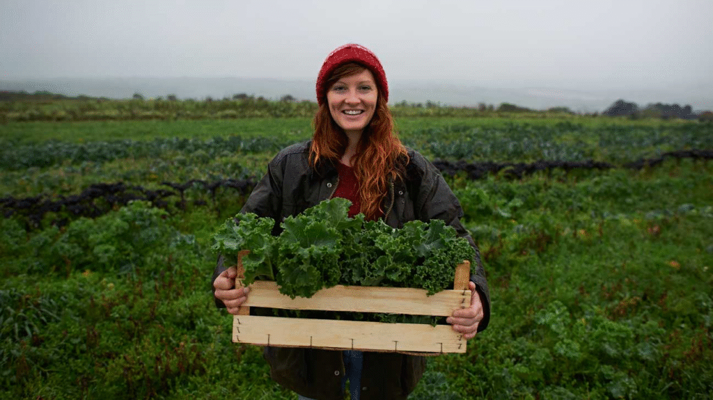 A person wearing a red hat and dark jacket stands in a misty field, holding a wooden crate filled with fresh green kale.